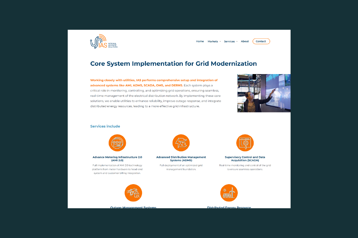 Integral Advance Solutions website design image