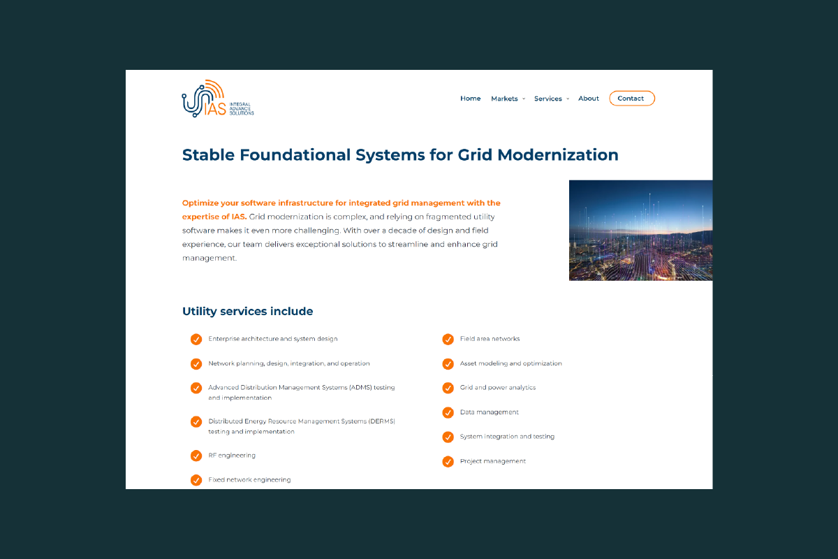Integral Advance Solutions website design image