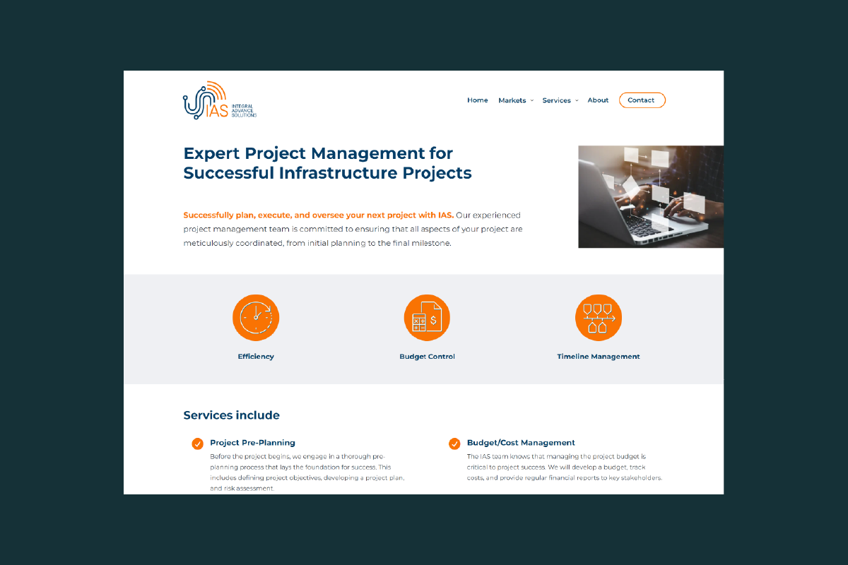 Integral Advance Solutions website design image